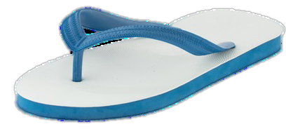 Elephant Star flip-flops